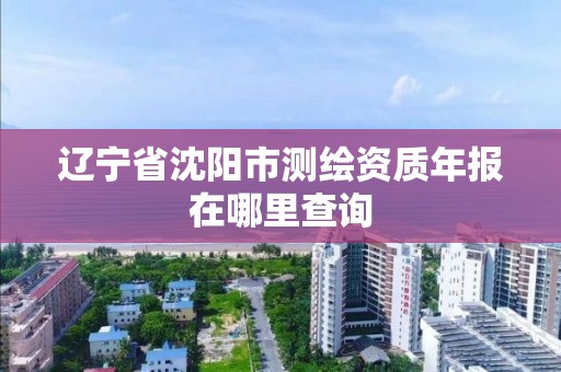 遼寧省沈陽市測繪資質年報在哪里查詢