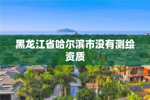 黑龍江省哈爾濱市沒有測繪資質