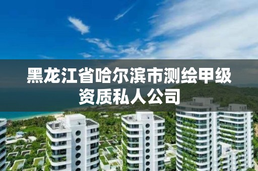 黑龍江省哈爾濱市測繪甲級資質私人公司