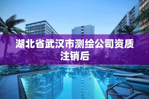 湖北省武漢市測繪公司資質(zhì)注銷后