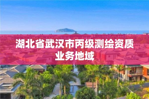 湖北省武漢市丙級測繪資質(zhì)業(yè)務(wù)地域