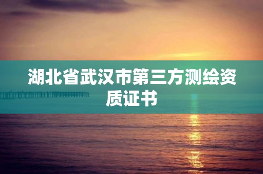 湖北省武漢市第三方測繪資質證書