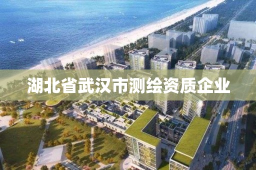 湖北省武漢市測繪資質企業