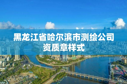 黑龍江省哈爾濱市測繪公司資質(zhì)章樣式