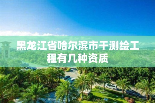 黑龍江省哈爾濱市干測繪工程有幾種資質