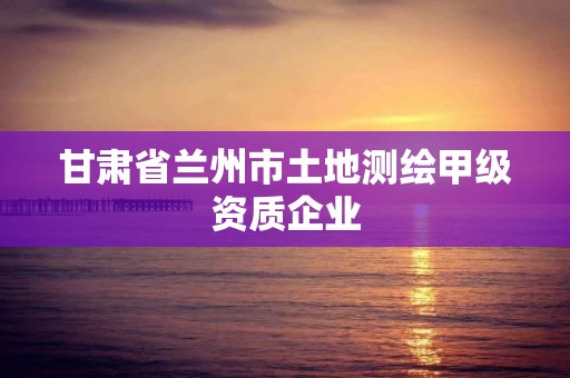 甘肅省蘭州市土地測(cè)繪甲級(jí)資質(zhì)企業(yè)