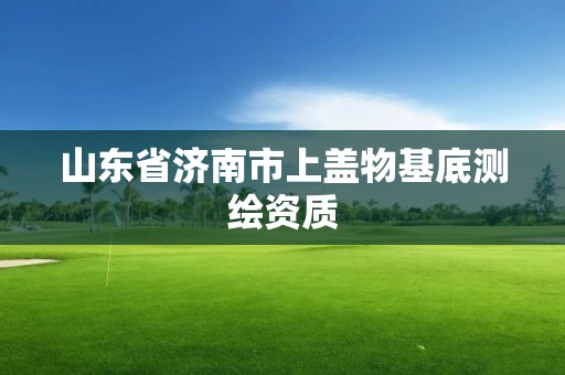 山東省濟南市上蓋物基底測繪資質