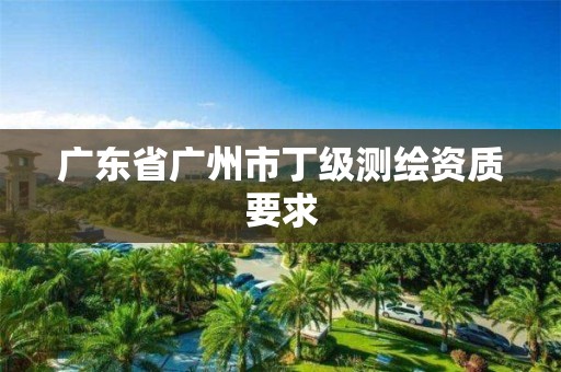 廣東省廣州市丁級(jí)測繪資質(zhì)要求