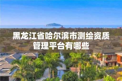 黑龍江省哈爾濱市測繪資質管理平臺有哪些