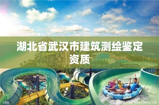 湖北省武漢市建筑測(cè)繪鑒定資質(zhì)