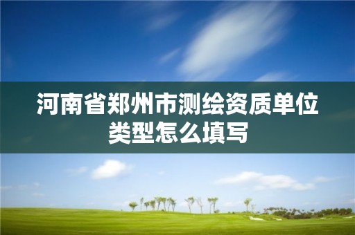 河南省鄭州市測繪資質單位類型怎么填寫