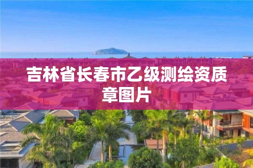 吉林省長春市乙級測繪資質章圖片