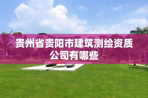 貴州省貴陽市建筑測繪資質公司有哪些