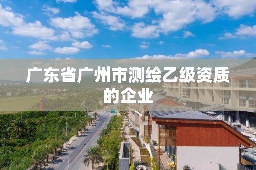 廣東省廣州市測繪乙級資質的企業