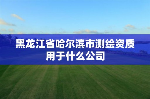 黑龍江省哈爾濱市測繪資質用于什么公司