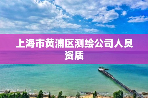 上海市黃浦區(qū)測繪公司人員資質(zhì)