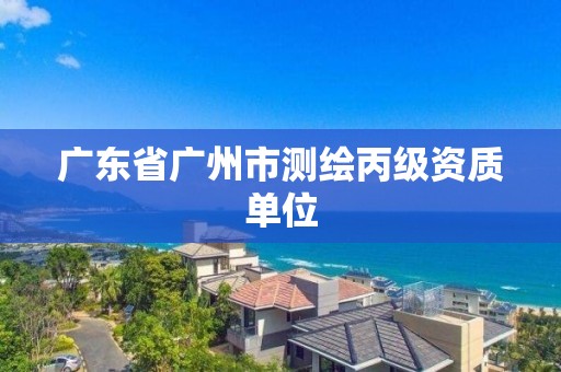 廣東省廣州市測繪丙級資質單位