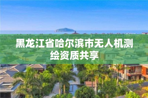 黑龍江省哈爾濱市無人機(jī)測繪資質(zhì)共享