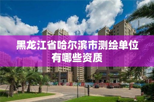 黑龍江省哈爾濱市測繪單位有哪些資質(zhì)