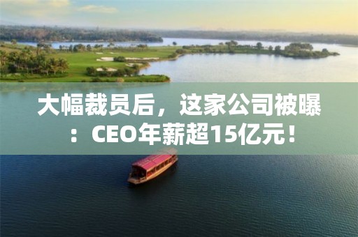 大幅裁員后，這家公司被曝：CEO年薪超15億元！