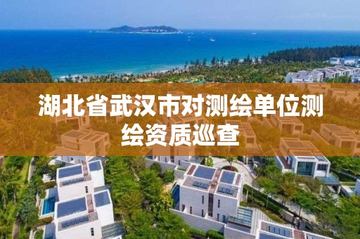 湖北省武漢市對測繪單位測繪資質巡查