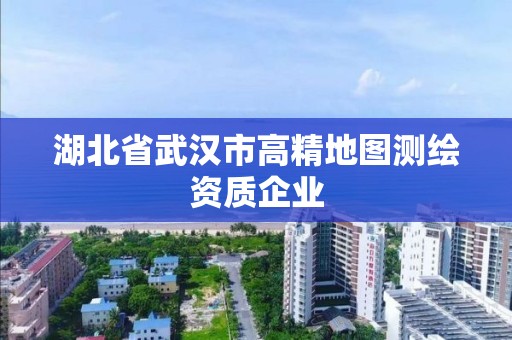 湖北省武漢市高精地圖測繪資質(zhì)企業(yè)