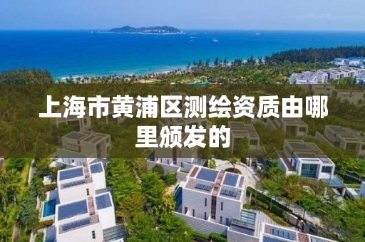 上海市黃浦區測繪資質由哪里頒發的