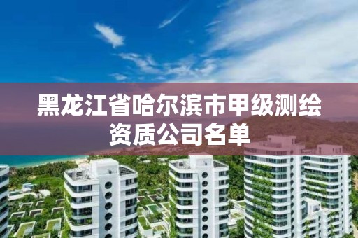 黑龍江省哈爾濱市甲級測繪資質(zhì)公司名單