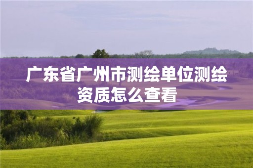 廣東省廣州市測繪單位測繪資質怎么查看