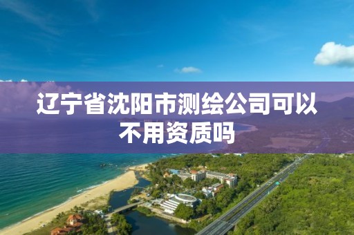 遼寧省沈陽市測繪公司可以不用資質嗎