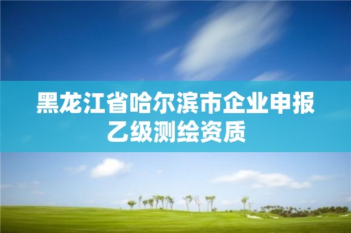 黑龍江省哈爾濱市企業申報乙級測繪資質