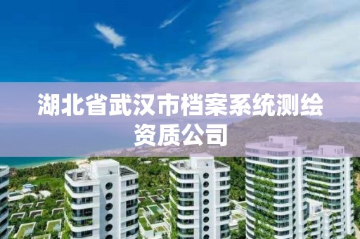 湖北省武漢市檔案系統測繪資質公司