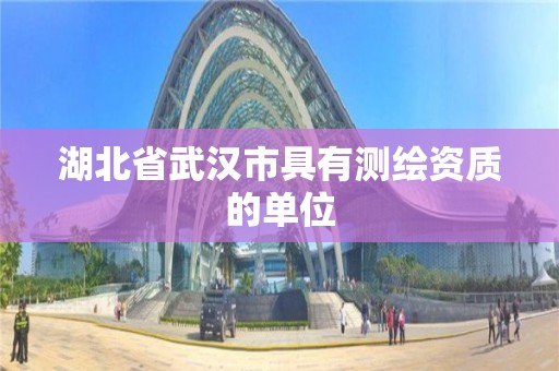 湖北省武漢市具有測繪資質的單位