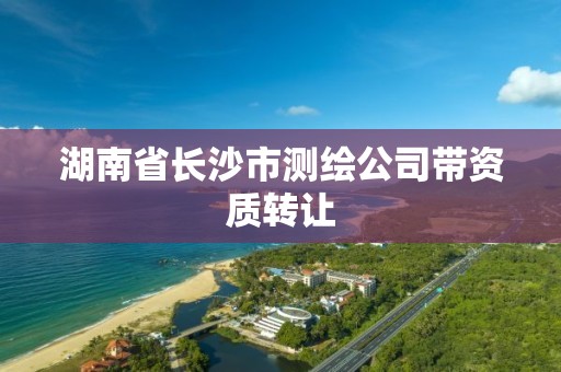 湖南省長沙市測繪公司帶資質轉讓