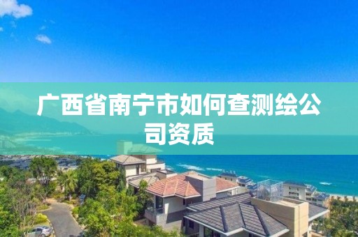 廣西省南寧市如何查測(cè)繪公司資質(zhì)