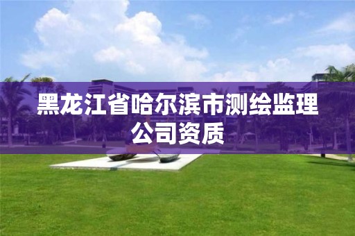 黑龍江省哈爾濱市測繪監理公司資質