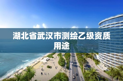 湖北省武漢市測繪乙級資質用途