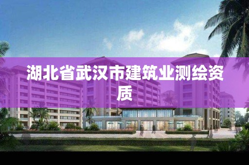 湖北省武漢市建筑業測繪資質