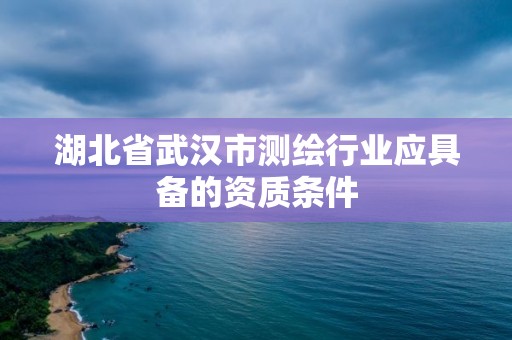 湖北省武漢市測(cè)繪行業(yè)應(yīng)具備的資質(zhì)條件