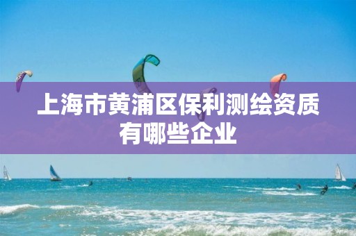 上海市黃浦區保利測繪資質有哪些企業