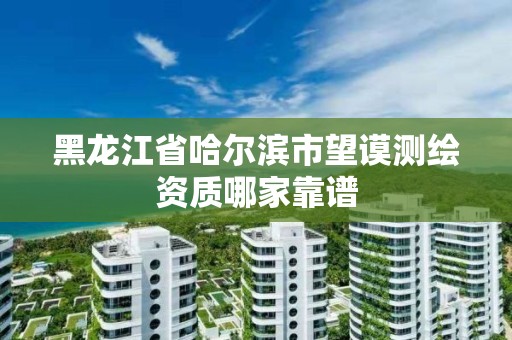 黑龍江省哈爾濱市望謨測繪資質哪家靠譜