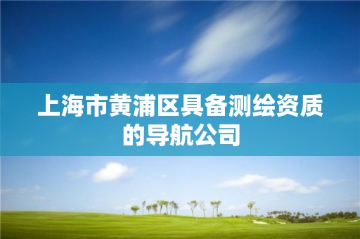 上海市黃浦區具備測繪資質的導航公司