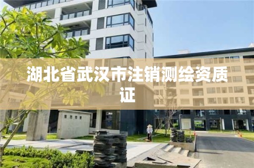 湖北省武漢市注銷測繪資質證