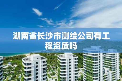 湖南省長沙市測繪公司有工程資質嗎