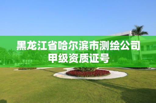 黑龍江省哈爾濱市測繪公司甲級資質(zhì)證號