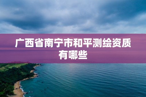 廣西省南寧市和平測繪資質有哪些