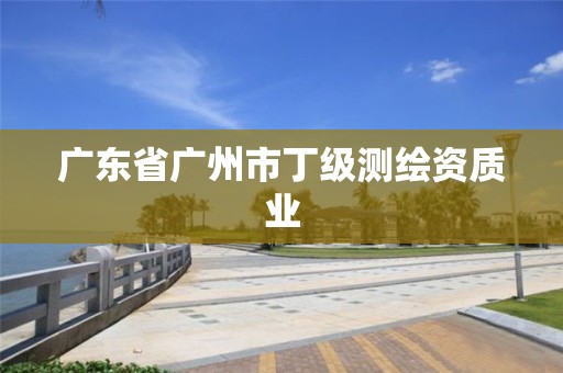 廣東省廣州市丁級測繪資質(zhì)業(yè)