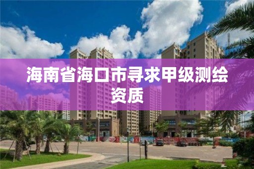 海南省海口市尋求甲級測繪資質