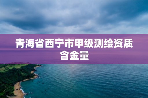 青海省西寧市甲級測繪資質含金量