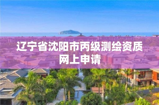 遼寧省沈陽市丙級測繪資質網上申請